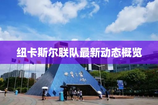 紐卡斯?fàn)柭?lián)隊最新動態(tài)概覽