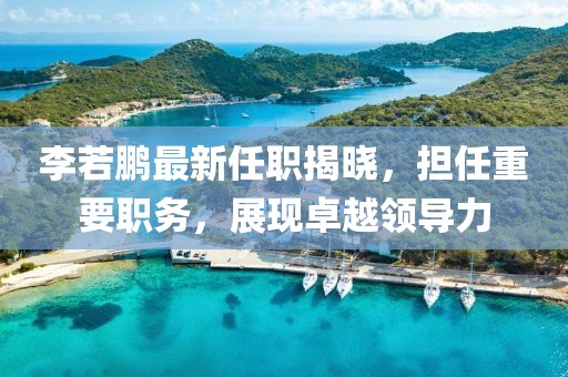 李若鵬最新任職揭曉，擔任重要職務，展現(xiàn)卓越領導力