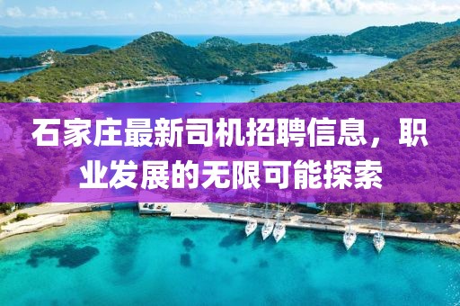 石家莊最新司機招聘信息，職業(yè)發(fā)展的無限可能探索