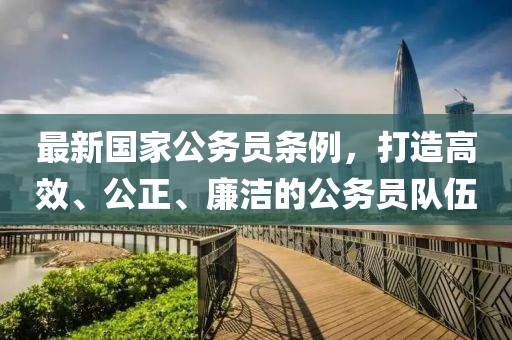 最新國(guó)家公務(wù)員條例，打造高效、公正、廉潔的公務(wù)員隊(duì)伍
