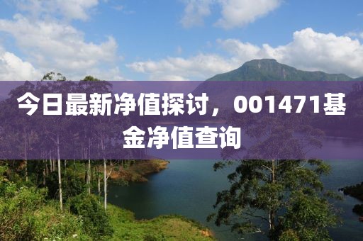 今日最新凈值探討，001471基金凈值查詢