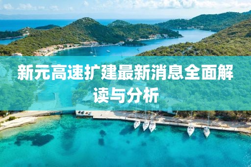 新元高速擴建最新消息全面解讀與分析