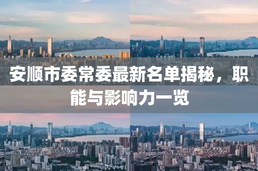 安順市委常委最新名單揭秘，職能與影響力一覽
