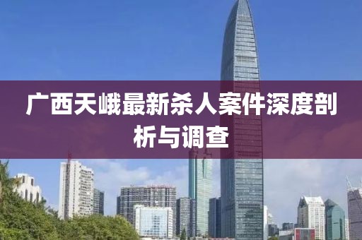 廣西天峨最新殺人案件深度剖析與調(diào)查