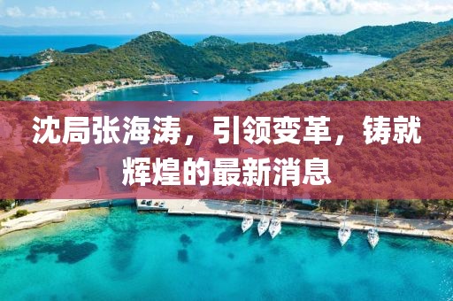 沈局張海濤，引領(lǐng)變革，鑄就輝煌的最新消息