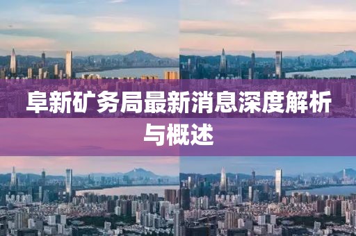 阜新礦務(wù)局最新消息深度解析與概述