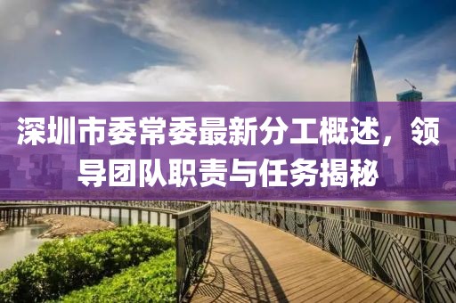深圳市委常委最新分工概述，領導團隊職責與任務揭秘