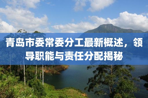 青島市委常委分工最新概述，領(lǐng)導(dǎo)職能與責(zé)任分配揭秘
