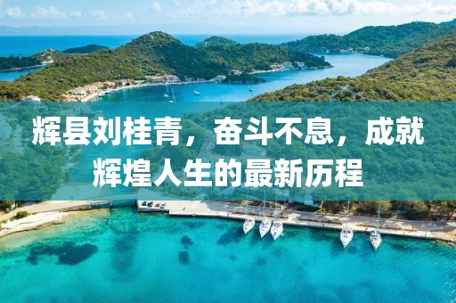 輝縣劉桂青，奮斗不息，成就輝煌人生的最新歷程