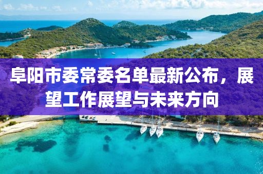 阜陽(yáng)市委常委名單最新公布，展望工作展望與未來方向