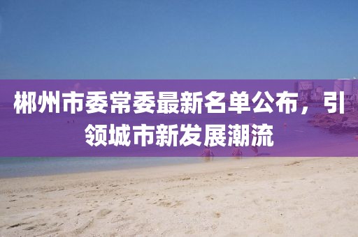 郴州市委常委最新名單公布，引領城市新發(fā)展潮流