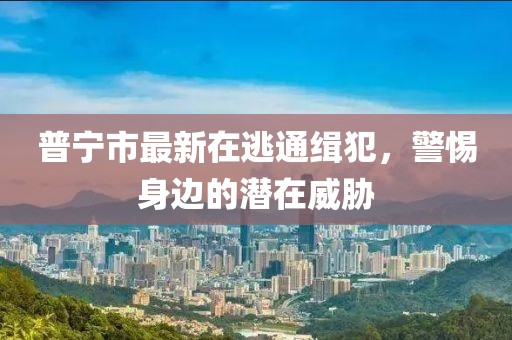 普寧市最新在逃通緝犯，警惕身邊的潛在威脅