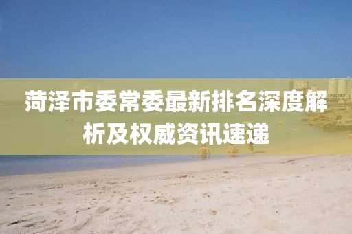 菏澤市委常委最新排名深度解析及權(quán)威資訊速遞