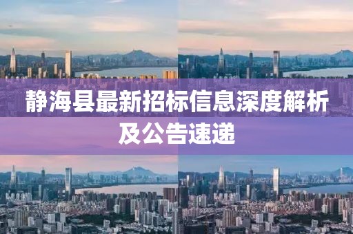 靜海縣最新招標信息深度解析及公告速遞
