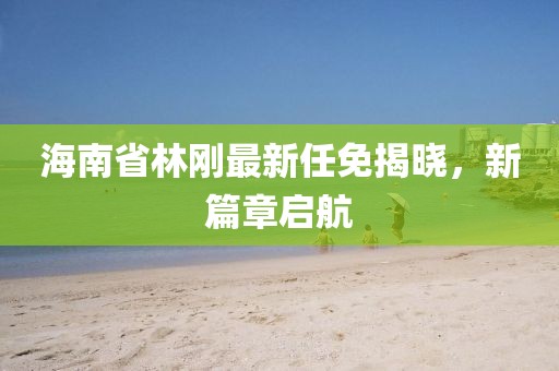 海南省林剛最新任免揭曉，新篇章啟航