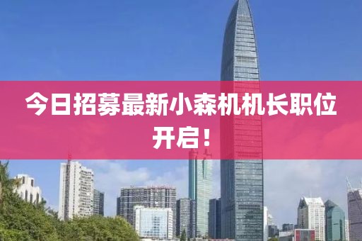今日招募最新小森機(jī)機(jī)長(zhǎng)職位開啟！
