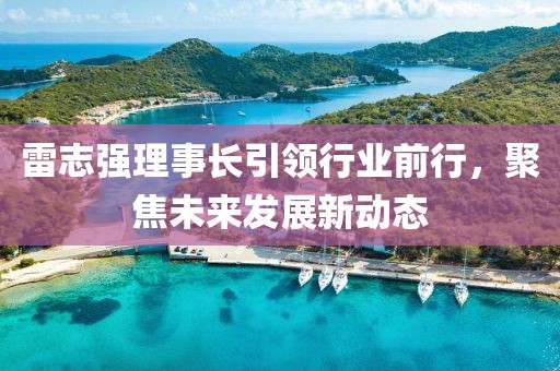 雷志強理事長引領(lǐng)行業(yè)前行，聚焦未來發(fā)展新動態(tài)