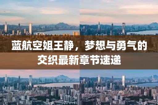 藍(lán)航空姐王靜，夢(mèng)想與勇氣的交織最新章節(jié)速遞