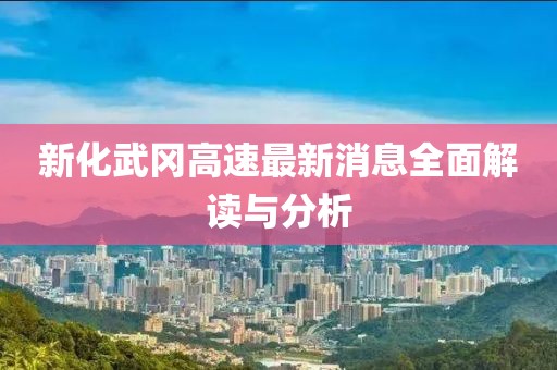 新化武岡高速最新消息全面解讀與分析