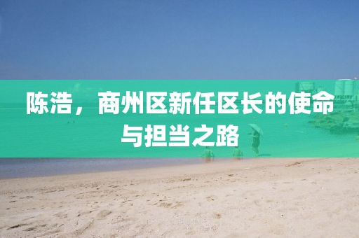 陳浩，商州區(qū)新任區(qū)長(zhǎng)的使命與擔(dān)當(dāng)之路