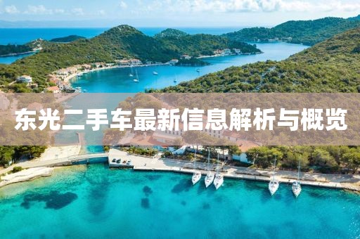 東光二手車最新信息解析與概覽