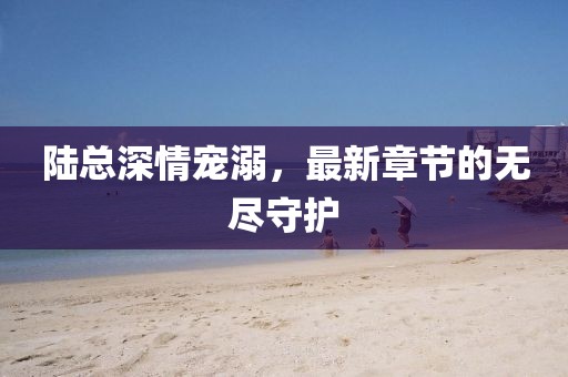 陸總深情寵溺，最新章節(jié)的無盡守護