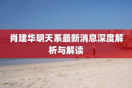 肖建華明天系最新消息深度解析與解讀