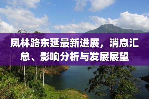鳳林路東延最新進(jìn)展，消息匯總、影響分析與發(fā)展展望