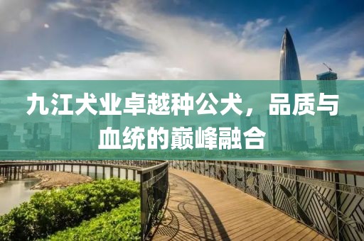 九江犬業(yè)卓越種公犬，品質(zhì)與血統(tǒng)的巔峰融合