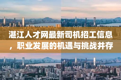 湛江人才網(wǎng)最新司機(jī)招工信息，職業(yè)發(fā)展的機(jī)遇與挑戰(zhàn)并存