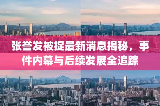 張譽發(fā)被捉最新消息揭秘，事件內(nèi)幕與后續(xù)發(fā)展全追蹤
