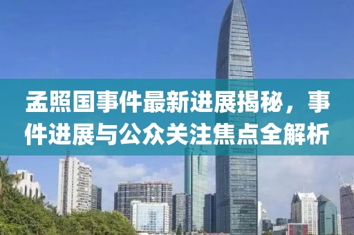 孟照國事件最新進展揭秘，事件進展與公眾關(guān)注焦點全解析