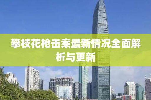 攀枝花槍擊案最新情況全面解析與更新