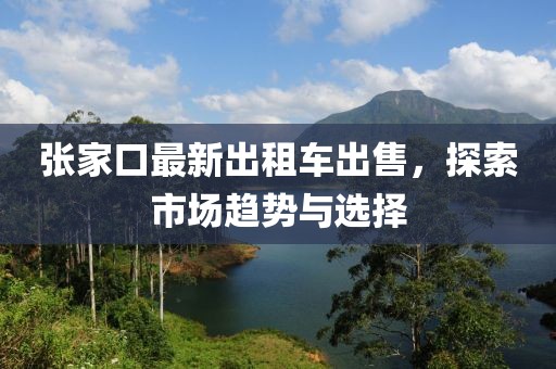 張家口最新出租車出售，探索市場(chǎng)趨勢(shì)與選擇