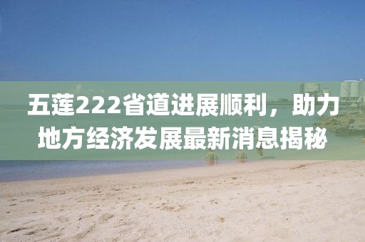 五蓮222省道進(jìn)展順利，助力地方經(jīng)濟(jì)發(fā)展最新消息揭秘