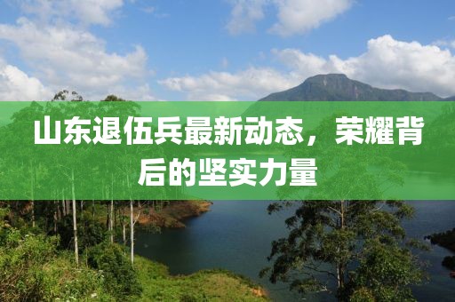 山東退伍兵最新動(dòng)態(tài)，榮耀背后的堅(jiān)實(shí)力量