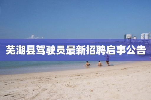 蕪湖縣駕駛員最新招聘啟事公告