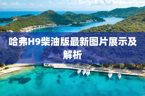 哈弗H9柴油版最新圖片展示及解析