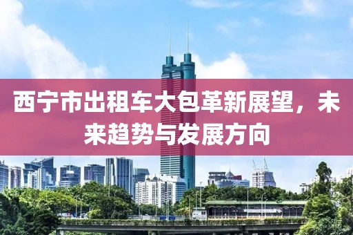 西寧市出租車大包革新展望，未來趨勢與發(fā)展方向