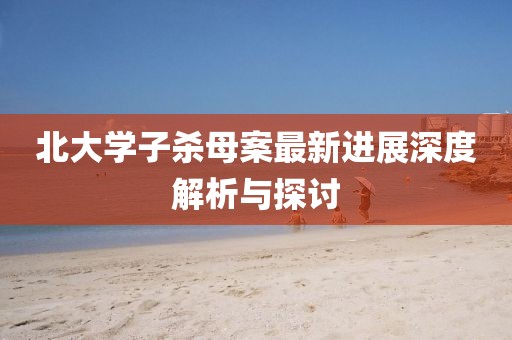 北大學子殺母案最新進展深度解析與探討
