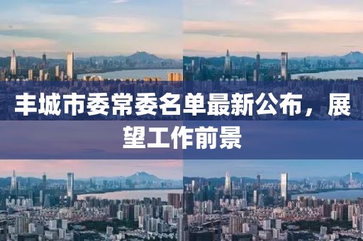 豐城市委常委名單最新公布，展望工作前景