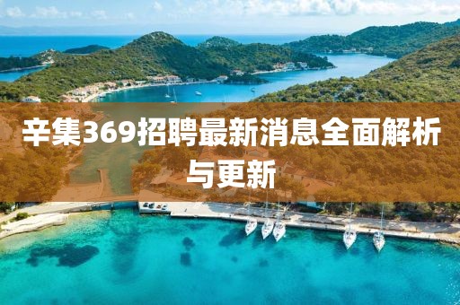 辛集369招聘最新消息全面解析與更新