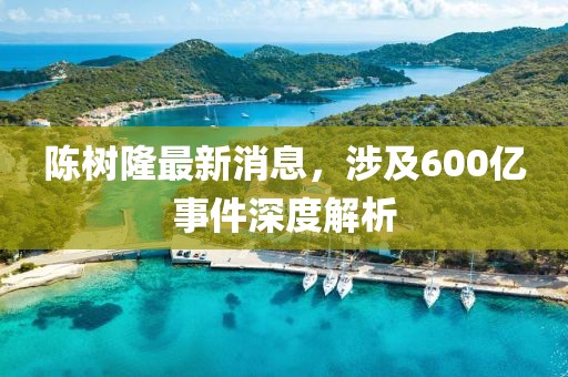 陳樹(shù)隆最新消息，涉及600億事件深度解析