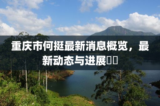 重慶市何挺最新消息概覽，最新動(dòng)態(tài)與進(jìn)展??
