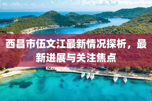 西昌市伍文江最新情況探析，最新進展與關(guān)注焦點