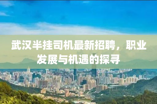 武漢半掛司機(jī)最新招聘，職業(yè)發(fā)展與機(jī)遇的探尋