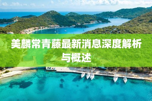 美麟常青藤最新消息深度解析與概述