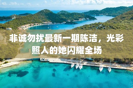 非誠勿擾最新一期陳潔，光彩照人的她閃耀全場