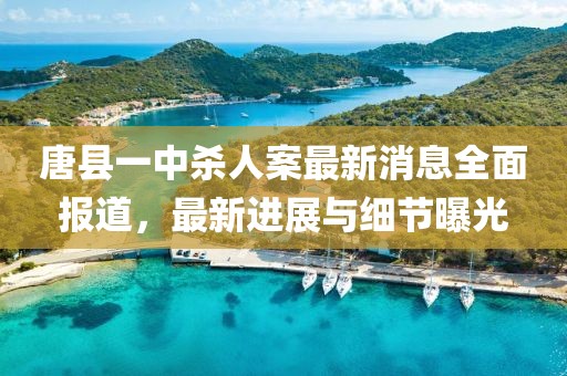 唐縣一中殺人案最新消息全面報道，最新進(jìn)展與細(xì)節(jié)曝光