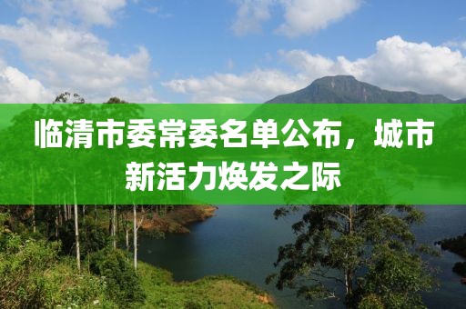 臨清市委常委名單公布，城市新活力煥發(fā)之際